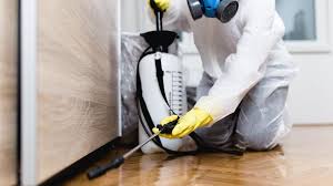 Best Indoor Pest Control  in Blue Island, IL